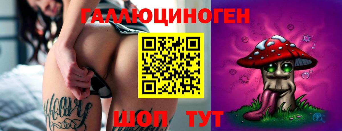 Псилоцибиновые грибы Cubensis  Вход с VPN  Троицк 